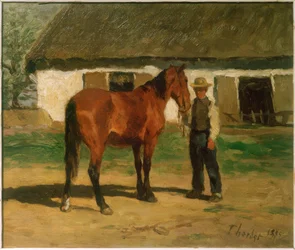 Brown Horse in Front of a White House